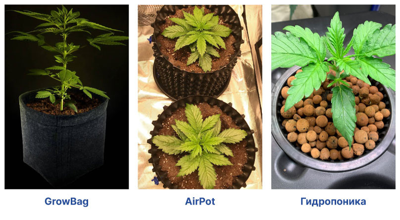 Выращивание в почве и на гидропонике Виды емкостей для выращивания