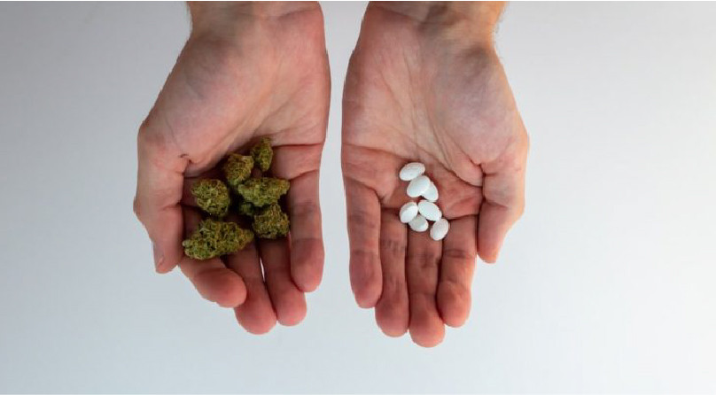 Медицинские и метаболические эффекты марихуаны Медицинские и метаболические эффекты марихуаны