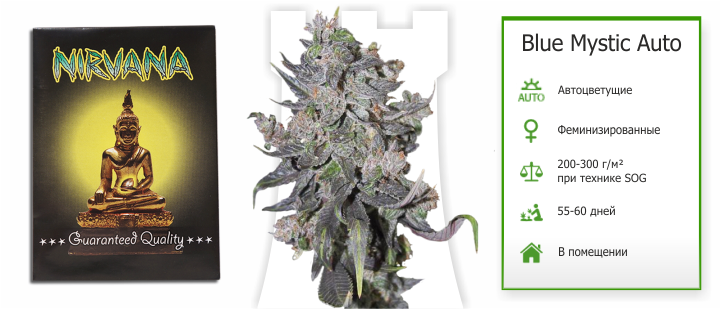 blue_mystic_auto от Nirvana