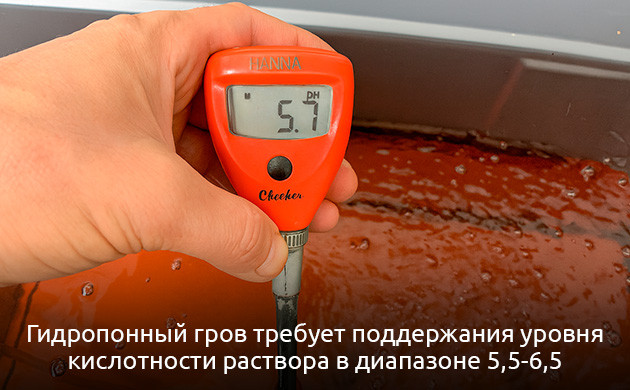 pH при выращивании конопли на гидропонике