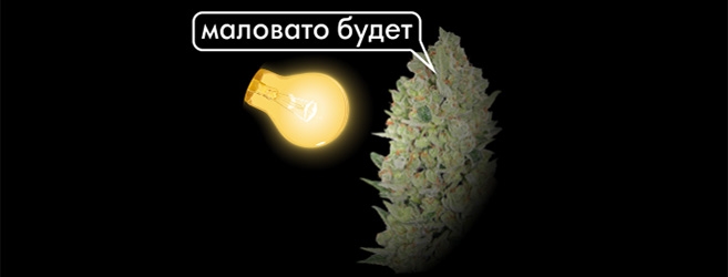 недостатки освещения конопли недостатки освещения конопли