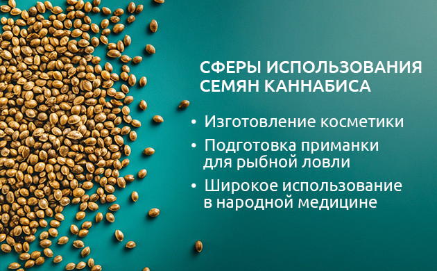 Сферы применения семян конопли Использование семян конопли в разных сферах