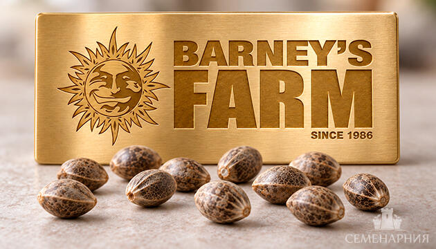 Новые сорта от Barney’s Farm на Семенарнии Новинки от Barney’s Farm