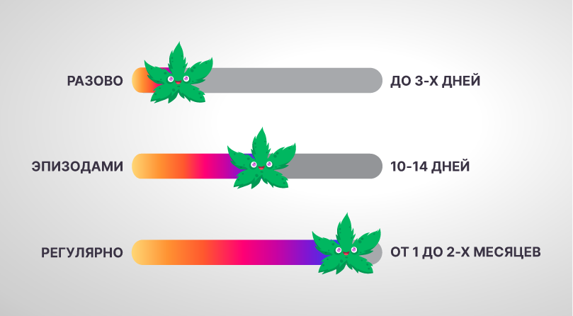 Использование конопли и время ее обнаружения в организме