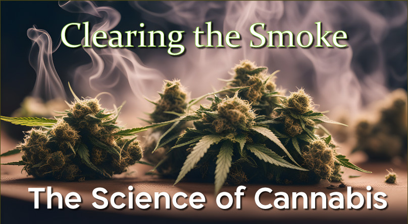 Фильм «Развеивая дым: наука о марихуане» Развеивая дым: наука о марихуане
