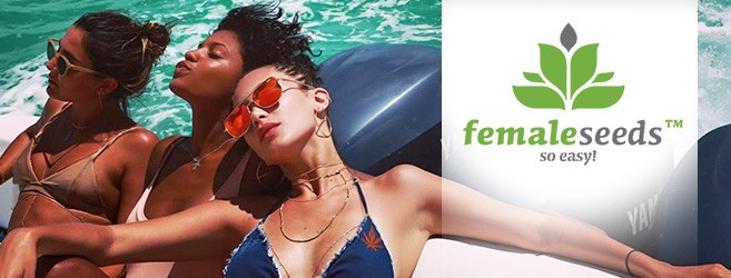 Пополнение ассортимента семенами сидбанка Female Seeds Пополнение ассортимента семенами сидбанка Female Seeds