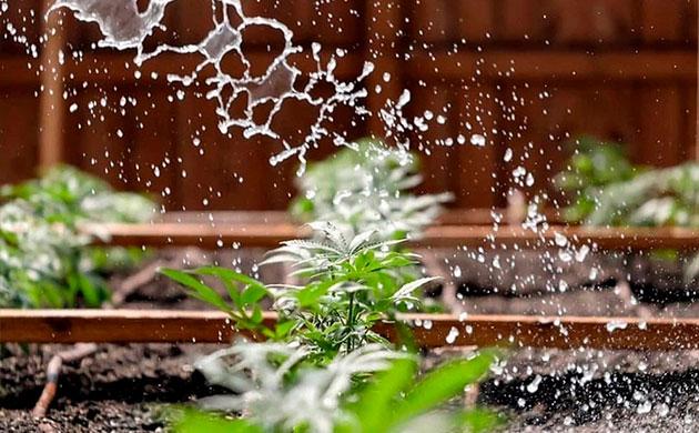 Cпособы удаления воды из поддона Индивидуальные блюдца или общий поддон