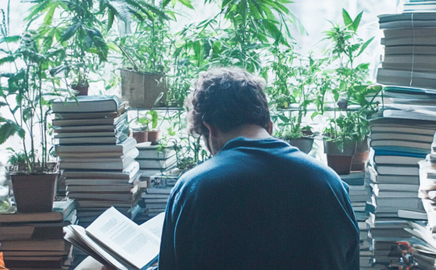 Популярные книги по выращиванию марихуаны Книги по выращиванию конопли