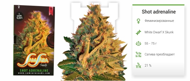 Shot adrenaline Shot adrenaline