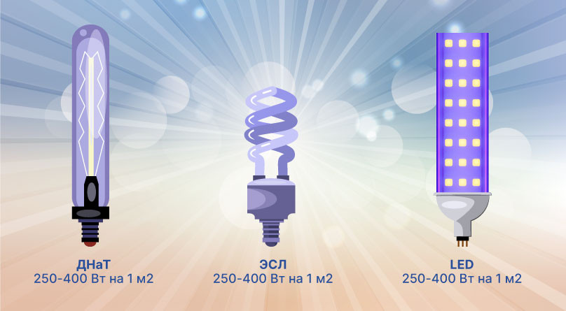 Освещение конопли в индоре Виды ламп для выращивания