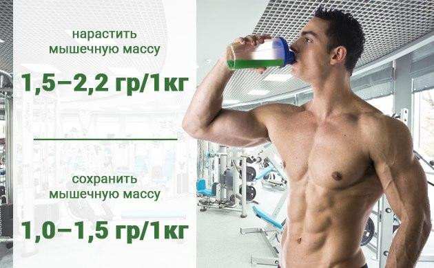 Польза конопляного протеина Дозы конопляного протеина