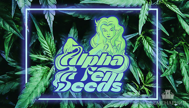 Семена конопли от сидбанка AlphaFem Seeds