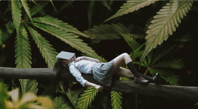 Осторожность с дозировкой марихуаны. Каннабис помогает при лечении бессонницы