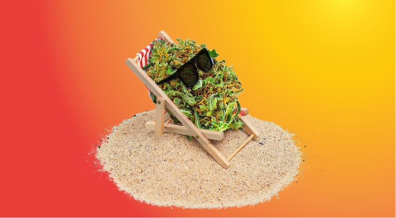 Лампы для конопли