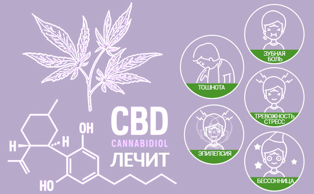 Польза КБД в медицине Что лечит КБД