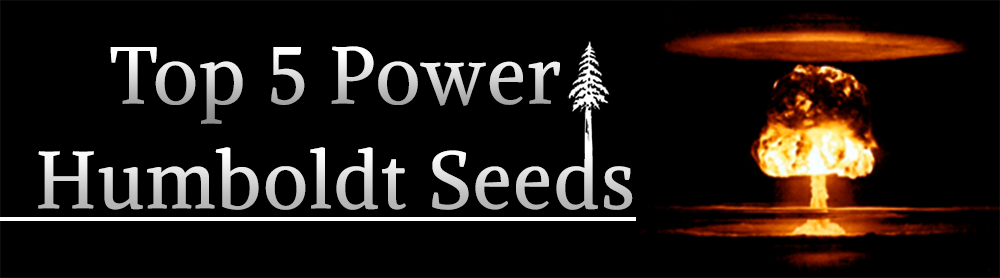 Power top 5 HSO top 5 power HSO