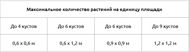Среднее количество растений для размеров гроутентов Максимальное количество растений на единицу площади