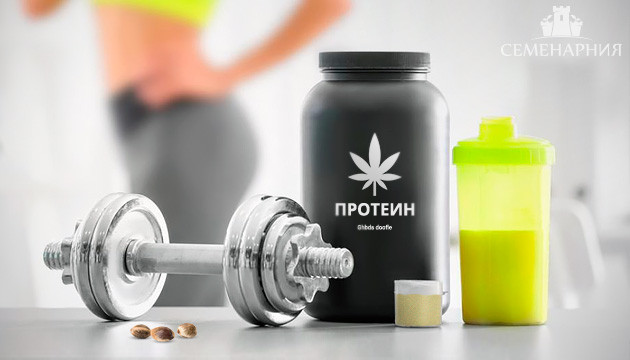 Протеин из марихуаны Конопляный протеин