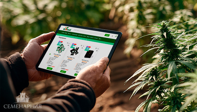 Магазин семян GroverZ