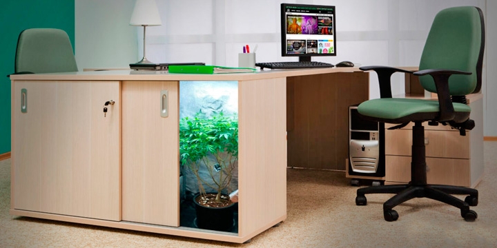 Микрогровинг Микрогровинг