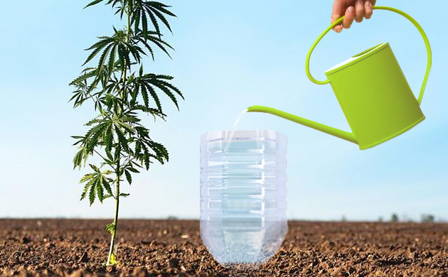 Капельный полив в ауте Перевернутая бутылка с водой у основания корней