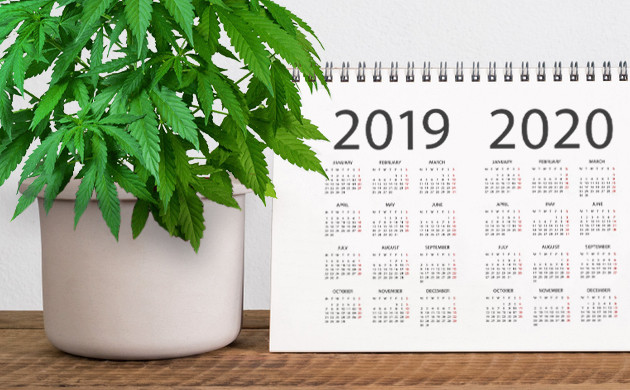 Легализация в 2019 и 2020 году