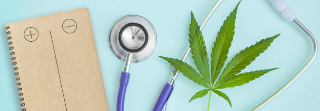 Польза и вред конопли