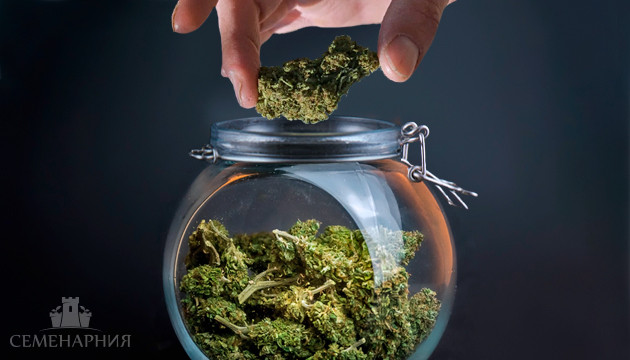 Правильная пролечка конопли Пролечка конопли