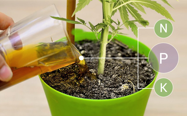 Питательные вещества для конопли Питательные вещества для конопли