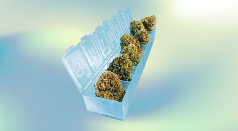 Конопля в медицине: симптомы, болезни, психическое состояние Медицинская конопля: лечение, облегчение и воздействие на психику