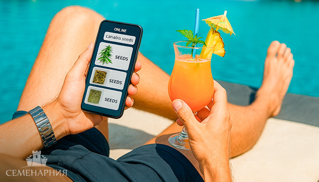 Как обезопасить себя при покупке семян Как купить семена безопасно и удобно