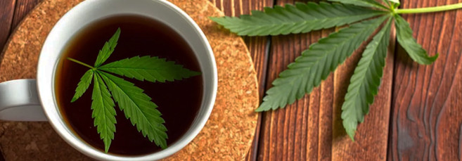 Конопляный чай