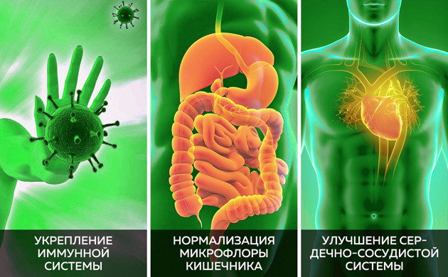 Полезные свойства Урбеч укрепляет имунную системуи нормализует микрофлору кишечника