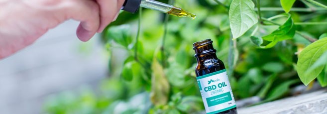 КБД нейтрализует эффект ТГК КБД нейтрализует эффект ТГК