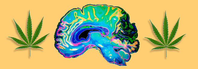 микро и макроэлементы для конопли Микро и макроэлементы, необходимые для конопли