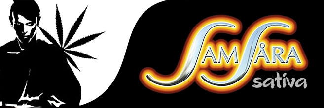 Мощные сорта сативы от Samsara Seeds Мощные сорта сативы от Samsara Seeds