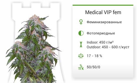 Medical VIP fem (VIP seeds)