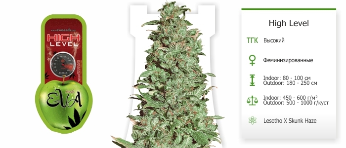 High Level High Level