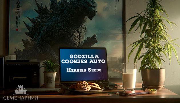 Выращивание сорта марихуаны Godzilla Cookies Auto в индоре Гроурепорт сорта Godzilla Cookies Auto