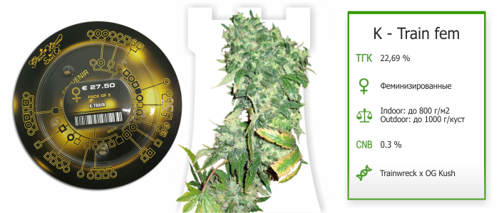 K - Train fem K - Train fem