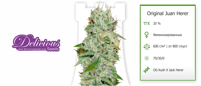 Original Juan Herer Original Juan Herer