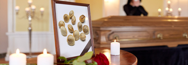 Причины гибели семян конопли Причина гибели семян конопли