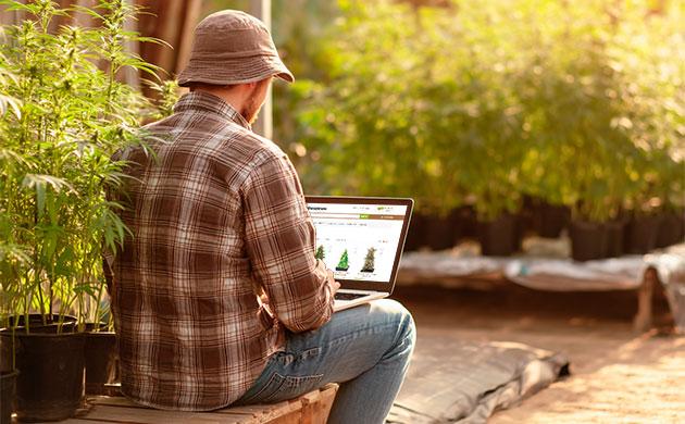 Подробнее о магазине семян конопли Шишкин Магазин семян Шишкин