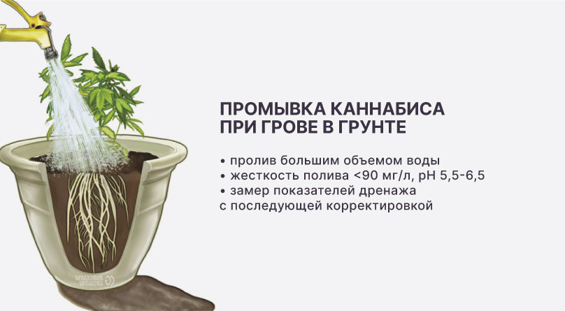 Промывка при грове в грунте