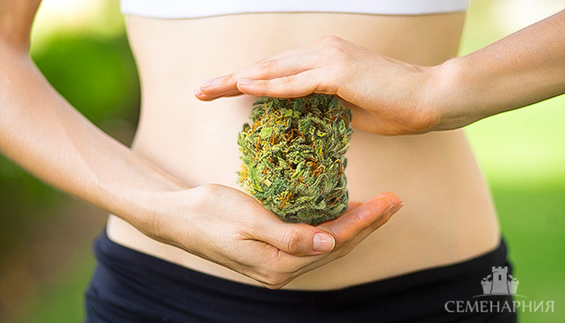 Способы очищения организма от марихуаны Как вывести марихуану из организма