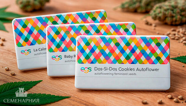 Трио Easy Grow Seeds