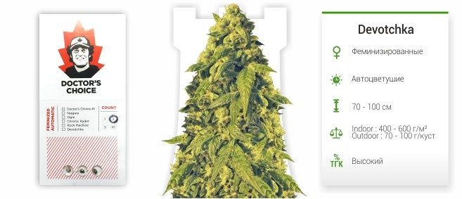 Devotchka auto fem от Doctor’s Choice