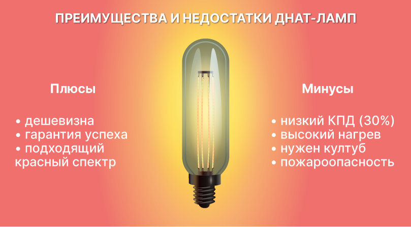 Лампы ДНаТ Плюсы и минусы ДНаТ ламп