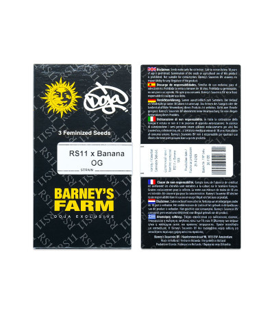Сорт RS 11 x Banana OG fem от Barney's Farm