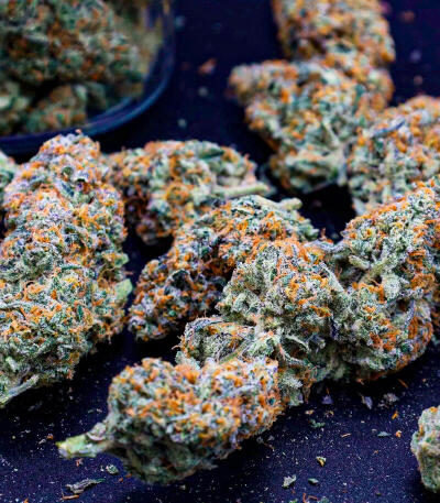 Сорт Guava Sundae Auto fem (FastBuds)